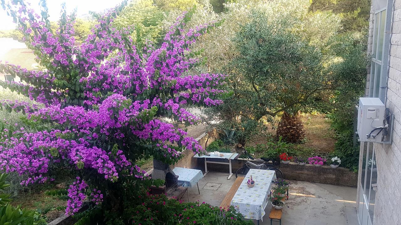 Apartments 1000 Flowers Stari Grad  Exterior foto